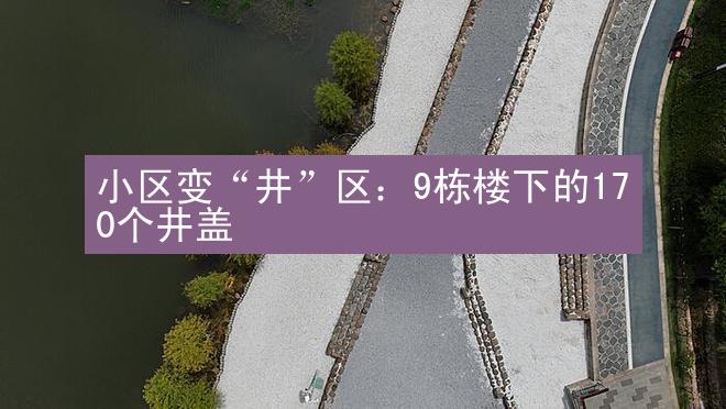 小区变“井”区：9栋楼下的170个井盖