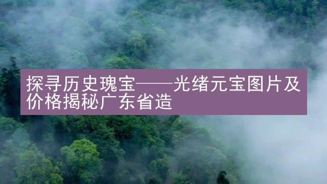 探寻历史瑰宝——光绪元宝图片及价格揭秘广东省造