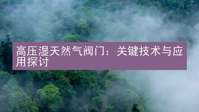 高压湿天然气阀门：关键技术与应用探讨