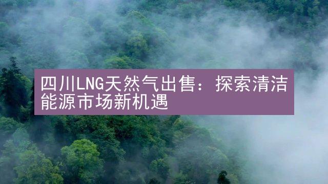 四川LNG天然气出售：探索清洁能源市场新机遇