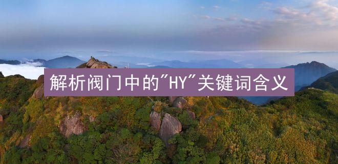 解析阀门中的"HY"关键词含义