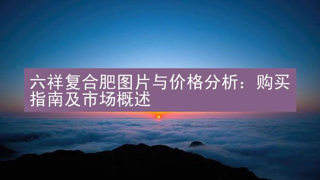 六祥复合肥图片与价格分析：购买指南及市场概述