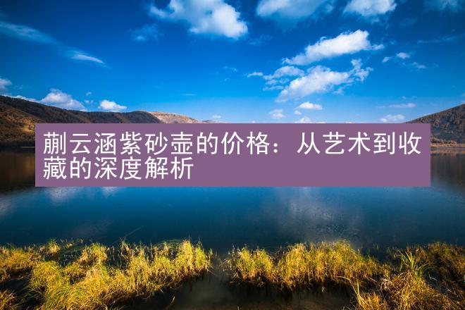 蒯云涵紫砂壶的价格：从艺术到收藏的深度解析