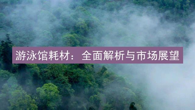 游泳馆耗材：全面解析与市场展望