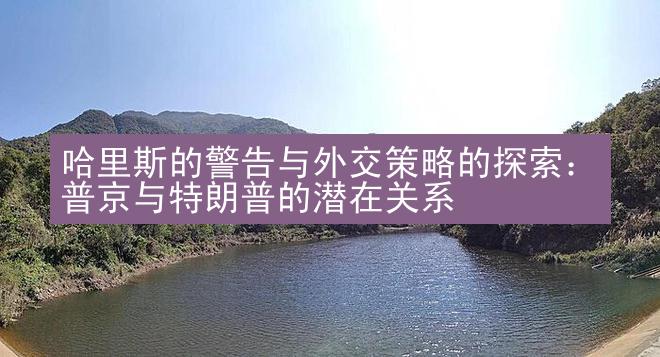 哈里斯的警告与外交策略的探索：普京与特朗普的潜在关系