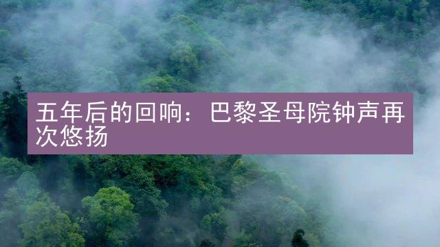 五年后的回响：巴黎圣母院钟声再次悠扬