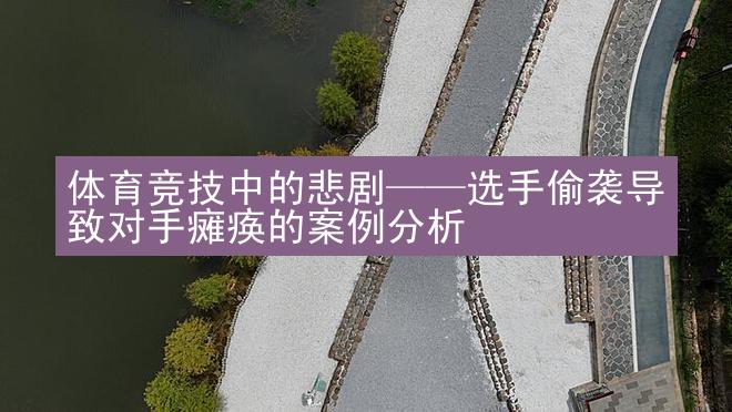 体育竞技中的悲剧——选手偷袭导致对手瘫痪的案例分析