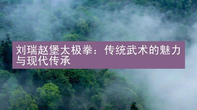 刘瑞赵堡太极拳：传统武术的魅力与现代传承