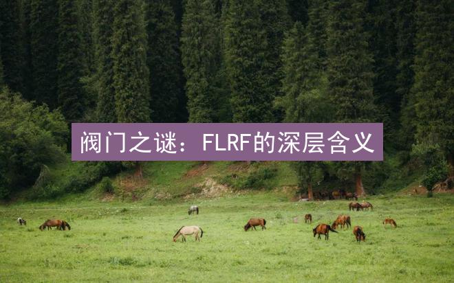 阀门之谜：FLRF的深层含义