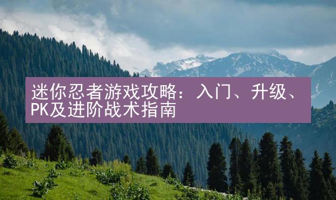 迷你忍者游戏攻略：入门、升级、PK及进阶战术指南