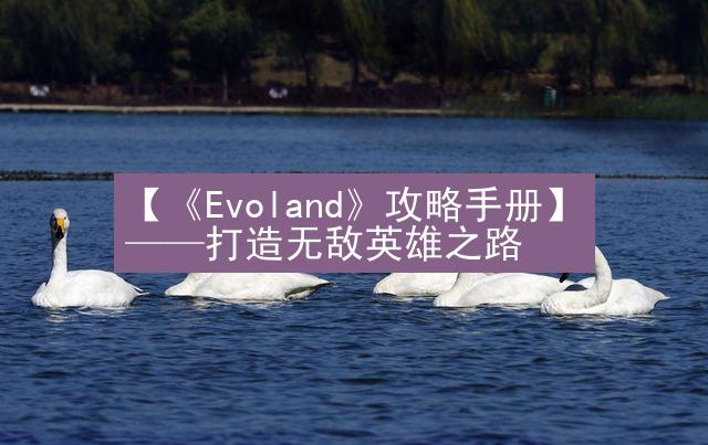 【《Evoland》攻略手册】——打造无敌英雄之路