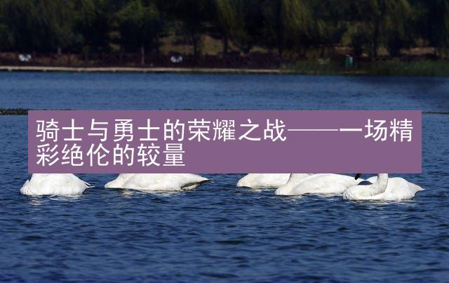 骑士与勇士的荣耀之战——一场精彩绝伦的较量