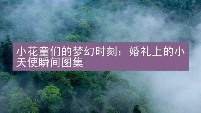 小花童们的梦幻时刻：婚礼上的小天使瞬间图集