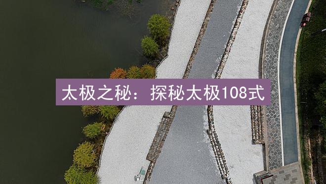 太极之秘：探秘太极108式