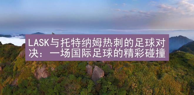 LASK与托特纳姆热刺的足球对决：一场国际足球的精彩碰撞