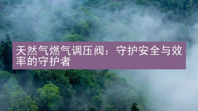 天然气燃气调压阀：守护安全与效率的守护者