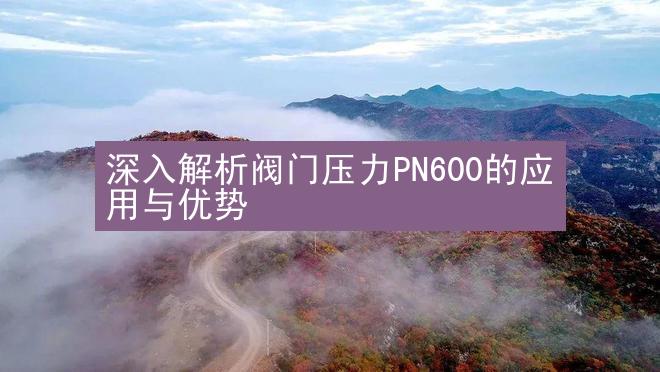 深入解析阀门压力PN600的应用与优势