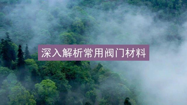 深入解析常用阀门材料