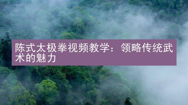 陈式太极拳视频教学：领略传统武术的魅力