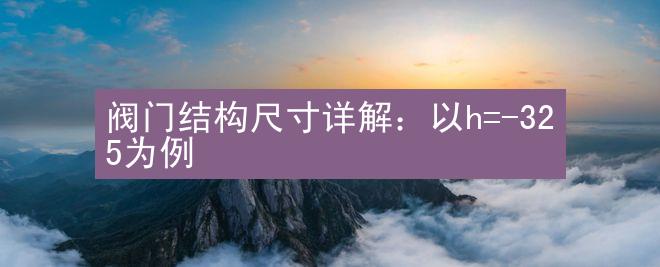 阀门结构尺寸详解：以h=-325为例