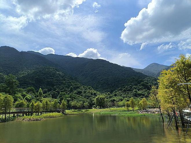 邂逅心灵与身体的和谐之旅 —— 和瑜伽培训学院